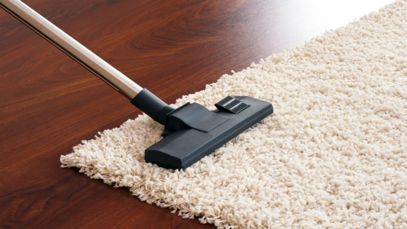 Find Out Why You Should Shampoo the Carpets in Your Magnolia Home