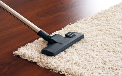 Regular Carpet Cleaning Near Naples Can Enhance Your Home Or Business